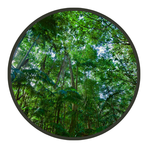 #planet